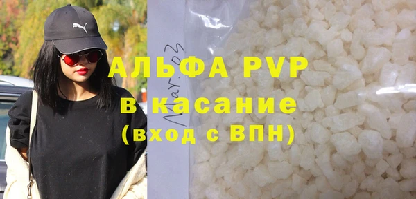 шишки Горно-Алтайск