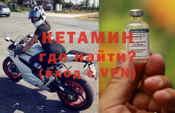 сатива Горняк