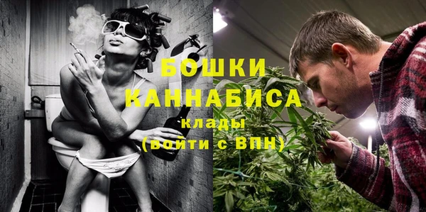 сатива Горняк