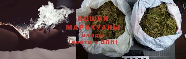 шишки Горно-Алтайск