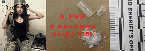 шишки Горно-Алтайск