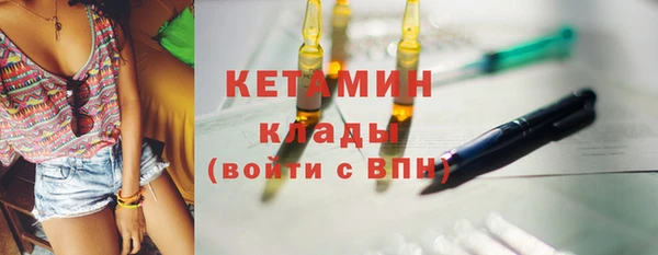 шишки Горно-Алтайск
