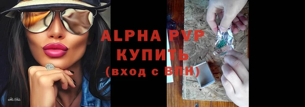 шишки Горно-Алтайск