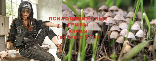 шишки Горно-Алтайск
