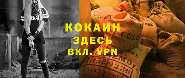 сатива Горняк