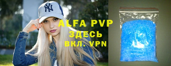 сатива Горняк