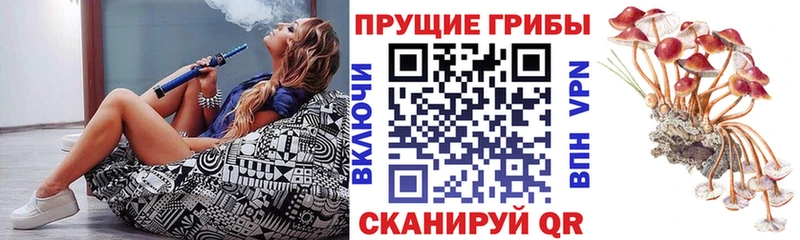 Галлюциногенные грибы мухоморы Купить закладки Лакинск